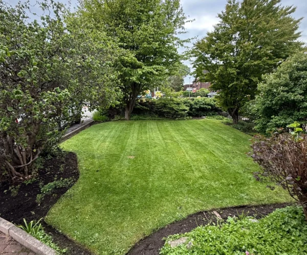 beautiful lawn designed by baglan garden team