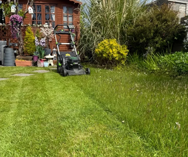 new artificial grass lying